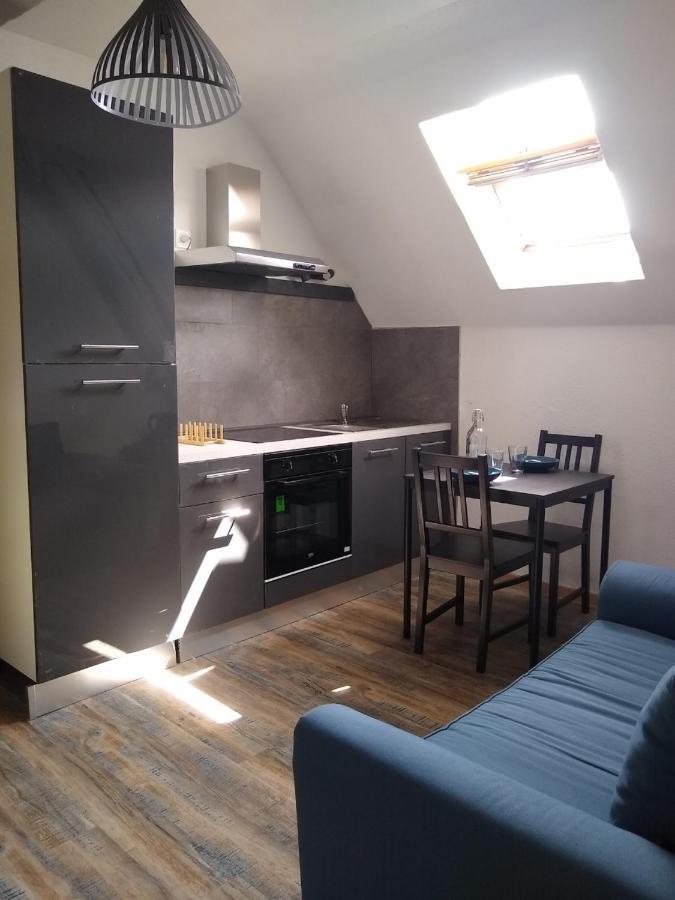 Le Marcel Appartement F1 De 24 M² Choisey Экстерьер фото