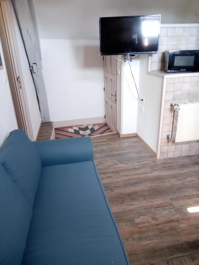 Le Marcel Appartement F1 De 24 M² Choisey Экстерьер фото